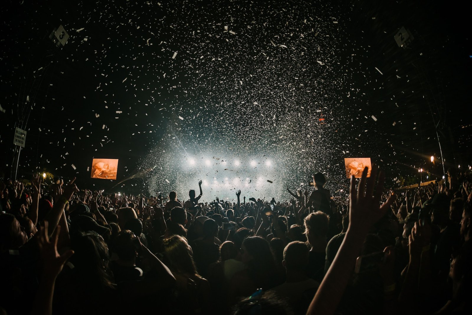 Crowd at Music Gig